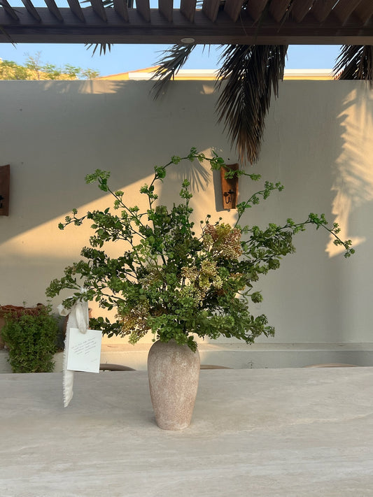 B R A C K E N (Luxe)