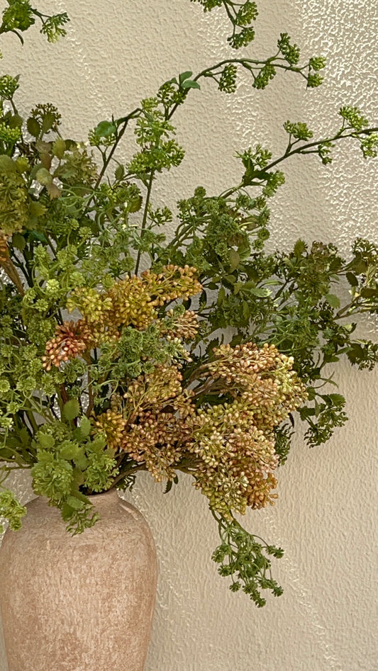 B R A C K E N (Classic)