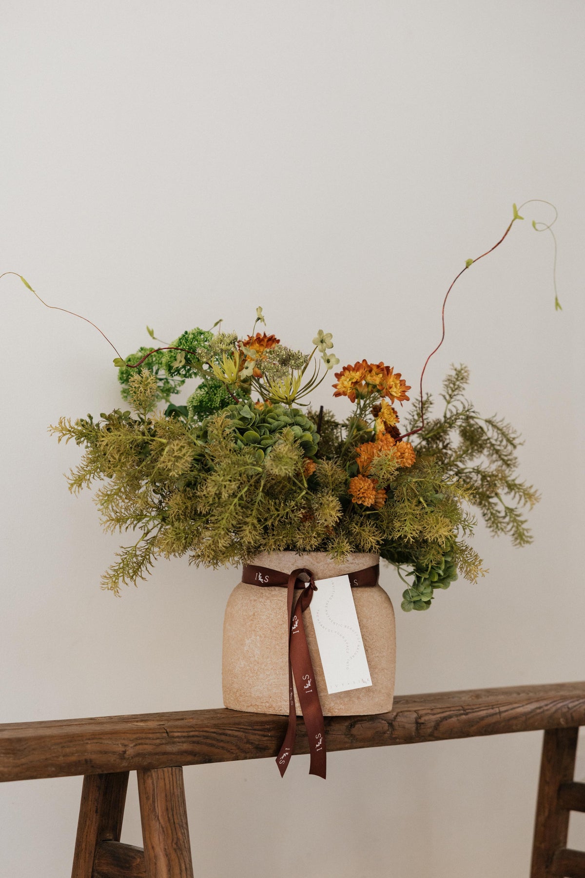 B O S C O (Autumn Collection)